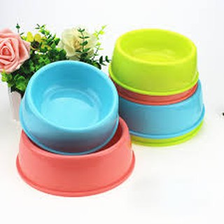 Bát đựng thức ăn chó mèo