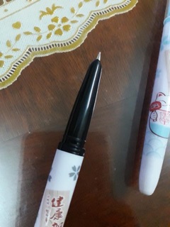 Bút máy bơm mực siêu nhẹ combo 300k 30c