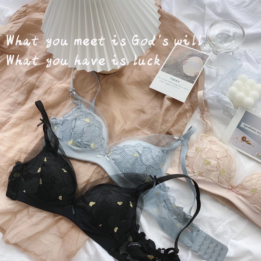 Bộ Đồ Lót Áo Ngực Ren Gợi Cảm Không Gọng Thời Trang Dành Cho Phụ Nữ ( Có Bán Lẻ) | BigBuy360 - bigbuy360.vn