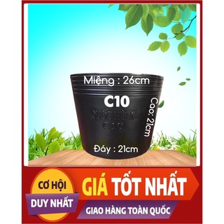 Combo 10 chậu trồng cây,trồng hoa,trồng rau C10 giá tại xưởng