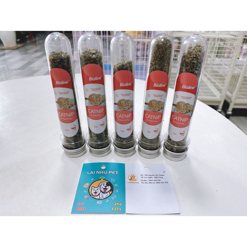 Catnip Bioline cao cấp cho mèo