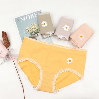 Set hộp 04 quần hoa cúc cotton co dãn, thấm hút mồ hôi Freesize