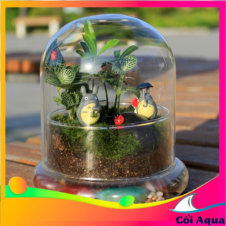 {Hàng siêu đẹp} Bình terrarium thủy tinh trong suốt có nắp chụp để làm bể tiểu cảnh terrarium