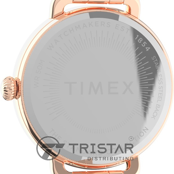 Đồng hồ Nữ Timex Standard Demi 30mm TW2U60700 Dây Kim Loại - Chính Hãng