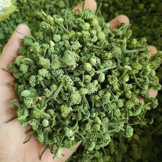 Hộp 400GR Nụ Hoa Tam Thất Hàng Loại 1