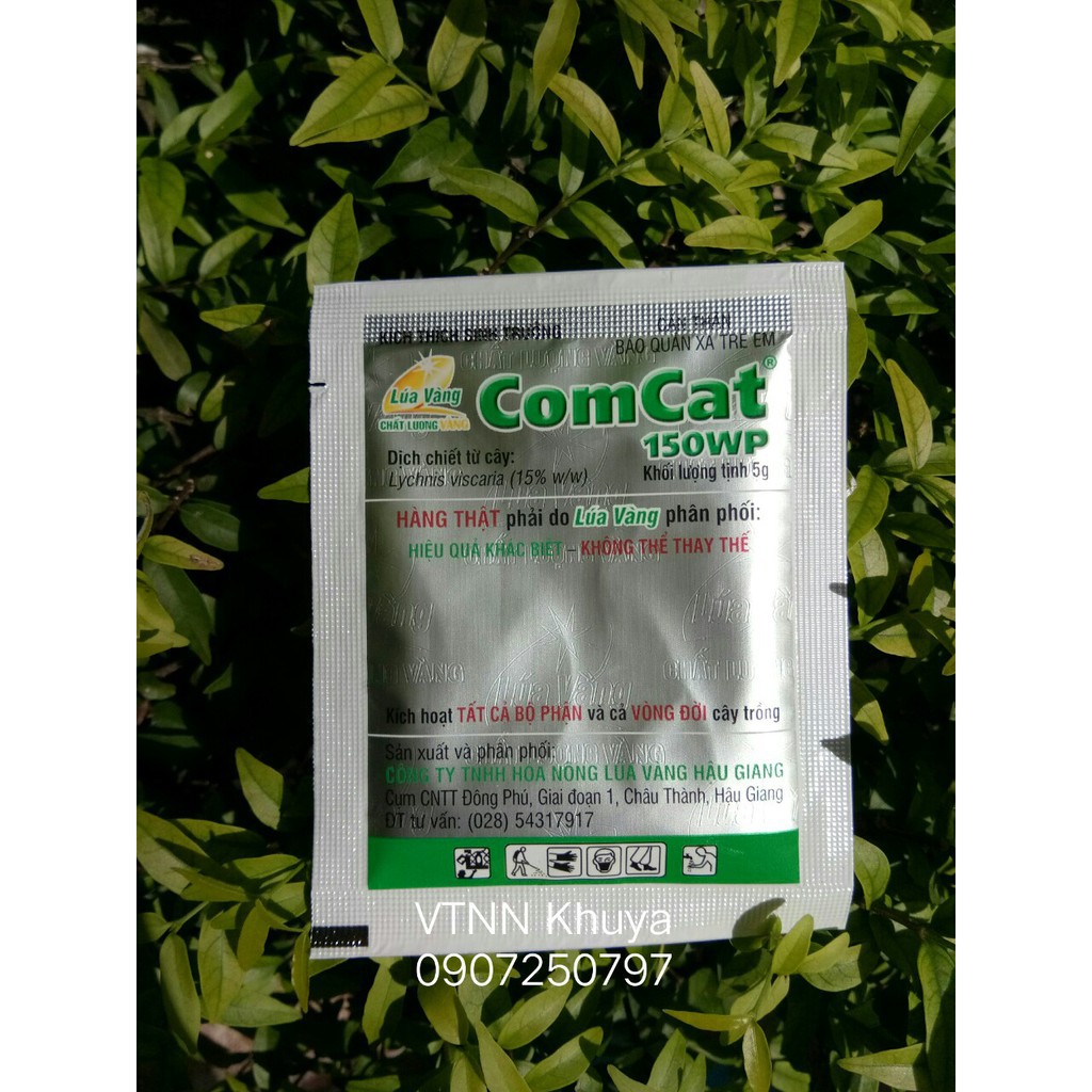 KÍCH THÍCH NẢY MẦM HẠT COMCAT LÚA VÀNG