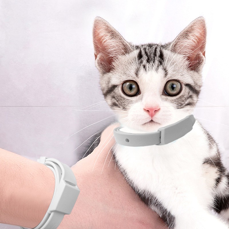 Vòng Cổ Chống Kẹp Độc Đáo Cho Thú Cưng