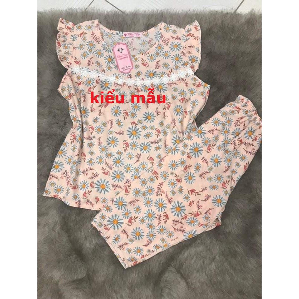 Đồ bộ tole lanh loại 1 cho người lớn quần đùi, lửng, dài từ 45-75kí | BigBuy360 - bigbuy360.vn