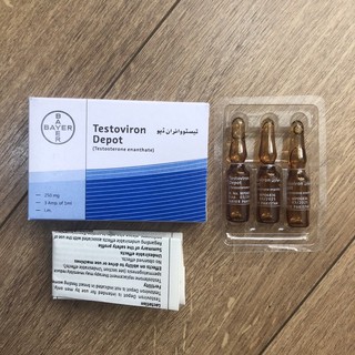 Testoviron Depot Bayer 250 (Depot nâu)