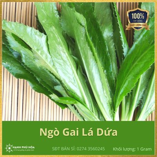 Hạt Giống Ngò Gai Lá Dứa TN121 1g/gói - Sinh Trưởng Mạnh, Kháng Bệnh Tốt, Trồng Quanh Năm, Lá Xanh,Thơm,Tốt Cho Sức Khoẻ