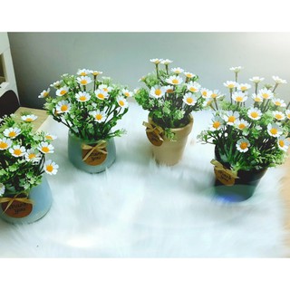 [GIẢM GIÁ] 100 Nhị Lông 0.8cm