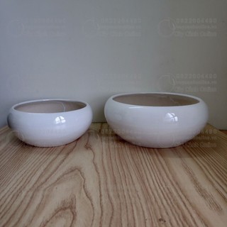 Đôi chậu ang cong - Chậu trồng cây để bàn, cây mini, phong thủy, nội thất