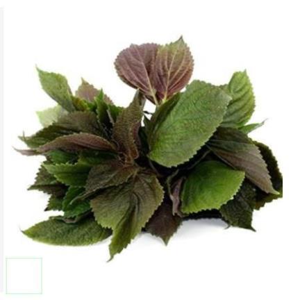 1KG BỘT TÍA TÔ NGUYÊN CHẤT CHUẨN LOẠI 1