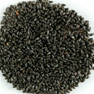 100g hạt é thượng hạng Phan Rang