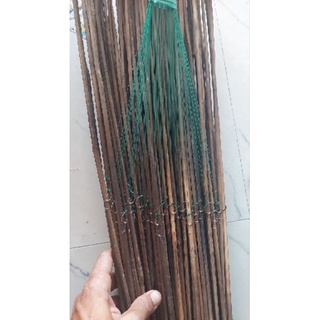50 CẦN CÂU CẤM CÁ LÓC TÓM SẴN