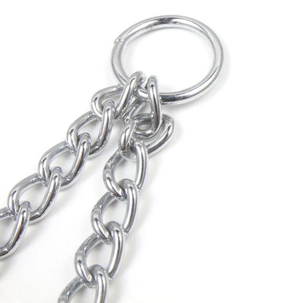 Dây Dắt Thú Cưng Đi Dạo Bằng Sắt