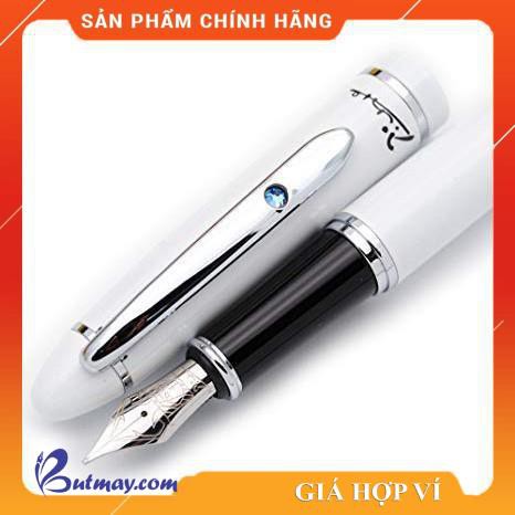 Bút Dạ bi Picasso 608 - RP/ Bút máy Picasso 608 - FP