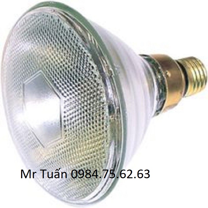 Bóng đèn halogen Par38 80w-120w, Citylight