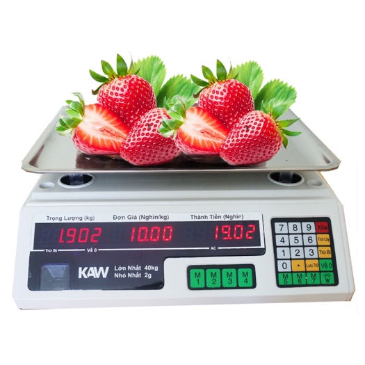 Cân tính tiền bán hàng Kaw 433E  Kháng Nước Cân 2g - 40kg Lưu Giá Trừ Bì Bảo Hành Chính Hãng