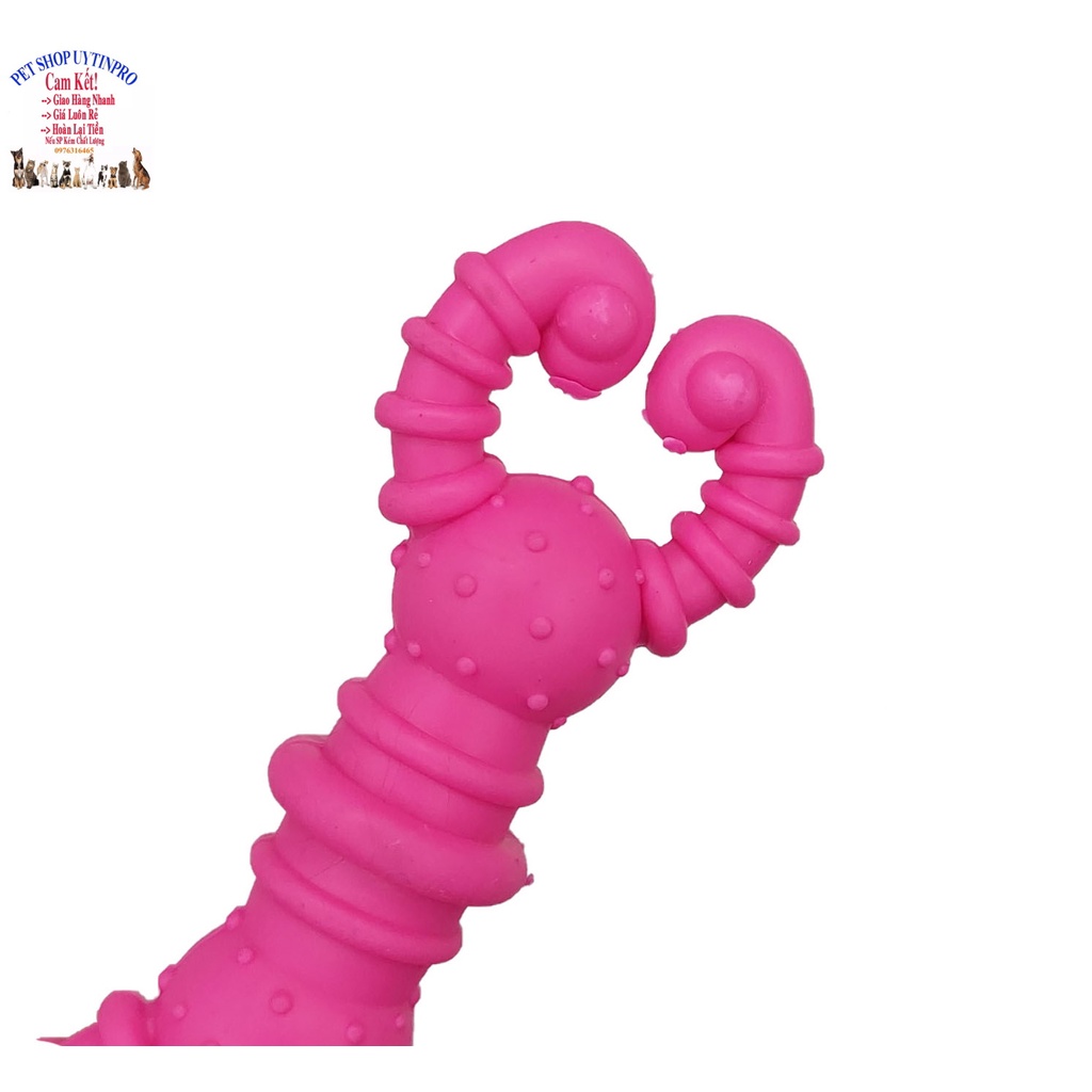 Đồ chơi cho Chó Hình càng cua Dài 12cm Chất liệu cao su đặc, dẻo, an toàn, Giúp thú cưng thư giãn, Sảng khoái