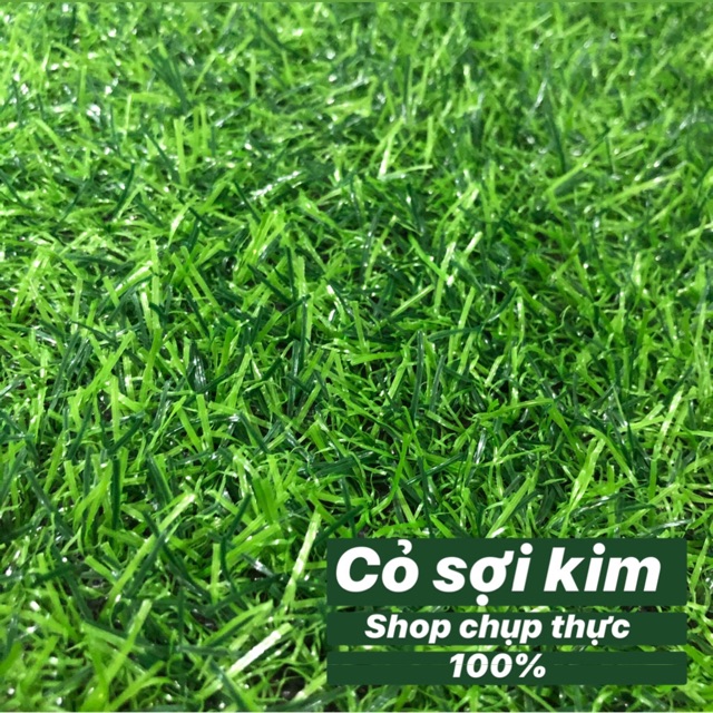 THẢM CỎ TRẢI SÀN Sợi Kim 2cm ( Hàng Cao Cấp )