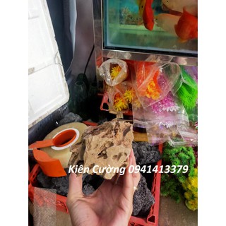 Đá Tiger dựng hòn non bộ cho bể cá cảnh 1kg