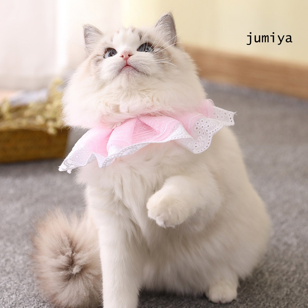 Cổ áo yếm thiết kế dây cột họa tiết bông hoa dành cho mèo