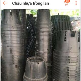10 chậu nhựa trồng lan 14CM