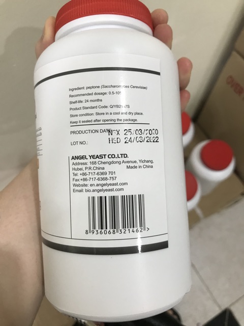 YEAST EXTRACT, peptone 450g FP101 đông trùng hạ thảo nuôi cấy vi sinh pepton angel