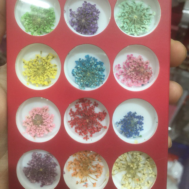 Set phụ kiện hoa khô