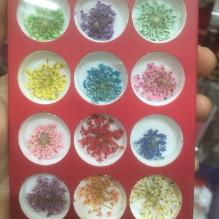 Set phụ kiện hoa khô
