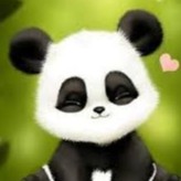 Panda.cn