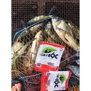 MỒI Câu MỘC ( mộc xanh / mộc đỏ )