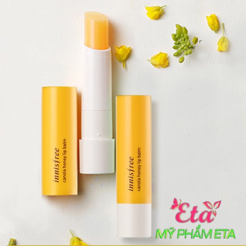 Son dưỡng môi Innisfree CANOLA HONEY Lip Balm chiết xuất mật ong chống môi khô và nứt nẻ