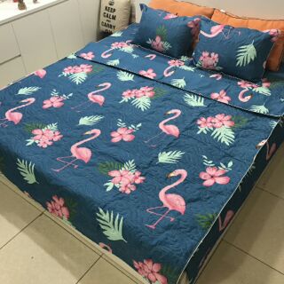 Bộ chăn ga gối phủ trần bông chất cotton poly