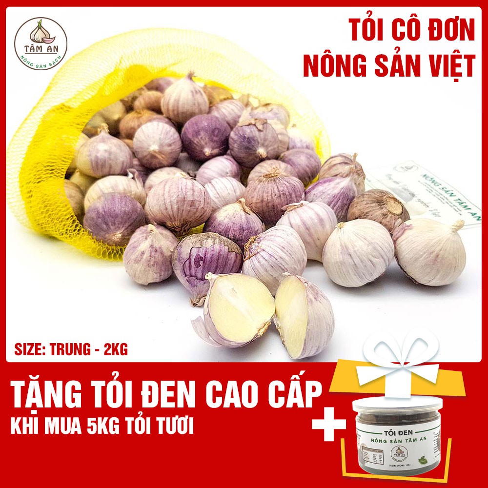 2kg tỏi cô đơn loại trung. Tặng 1 hộp tỏi đen cao cấp khi mua 5kg