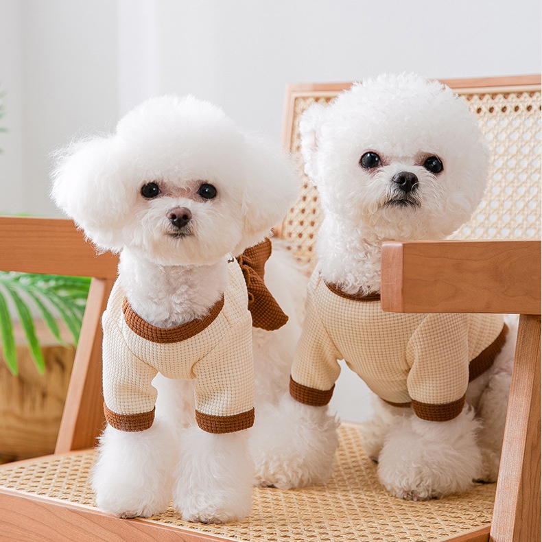 Đầm Đôi Dễ Thương Cho Thú Cưng Chihuahua Yorkie