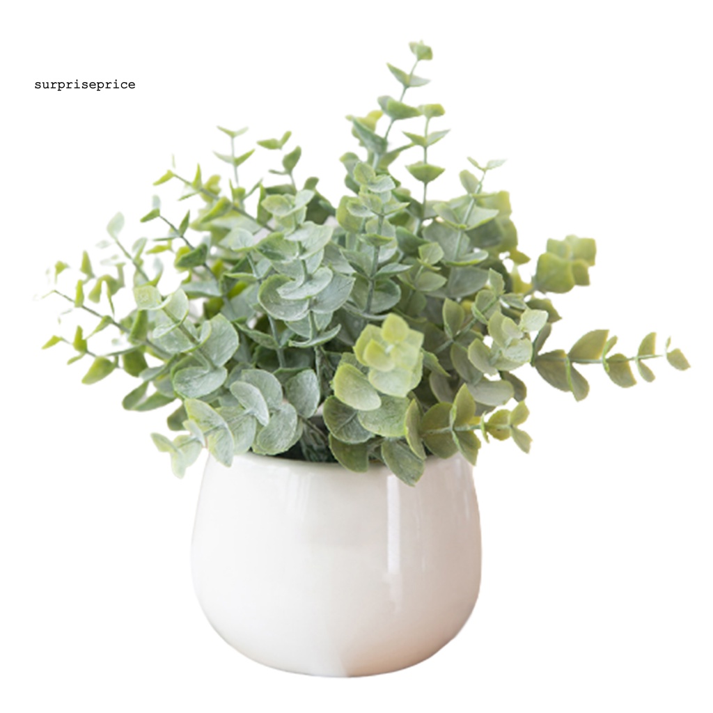 Chậu Cây Bonsai Giả Bằng Nhựa Cao Cấp Đa Năng Trang Trí Nhà Cửa