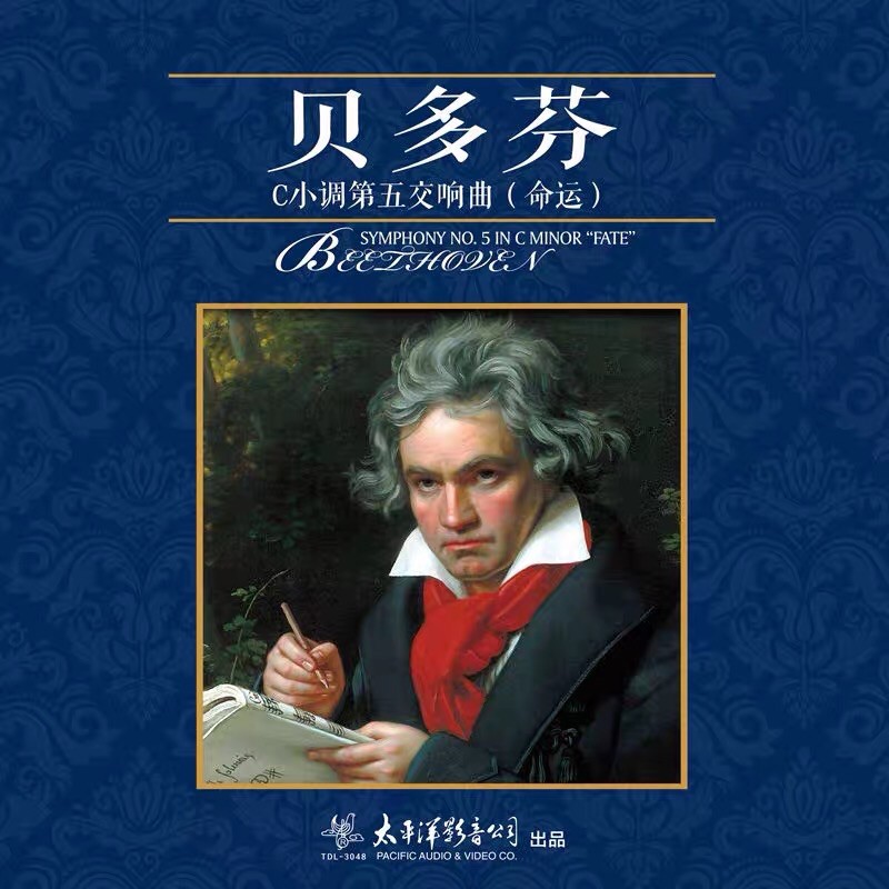 Đĩa than nhạc cổ điển kinh điển Beethoven số 3,5,6,9
