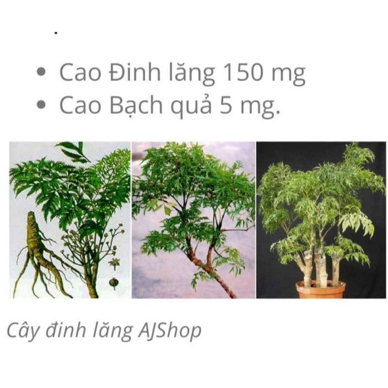 🫀HOẠT HUYẾT 🫀🧠DƯỠNG NÃO🧠Thiếu máu não, đau đầu, mất ngủ🧠