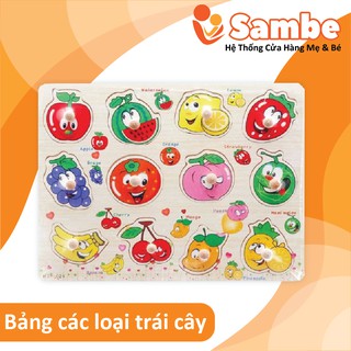 Đồ chơi gỗ Bảng các loại trái cây CA628