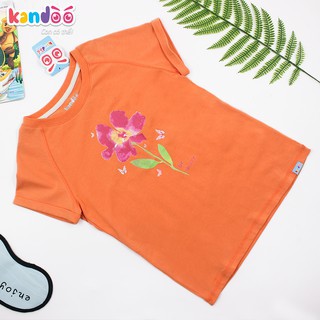 [gốc 169k] Áo t shirt bé gái kandoo DG16TS05 size 6-11 TUỔI