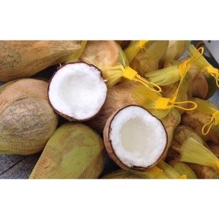 Dừa sap...