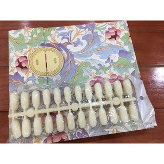 Sổ móng mẫu 120 mẫu  [Nail Spa] .