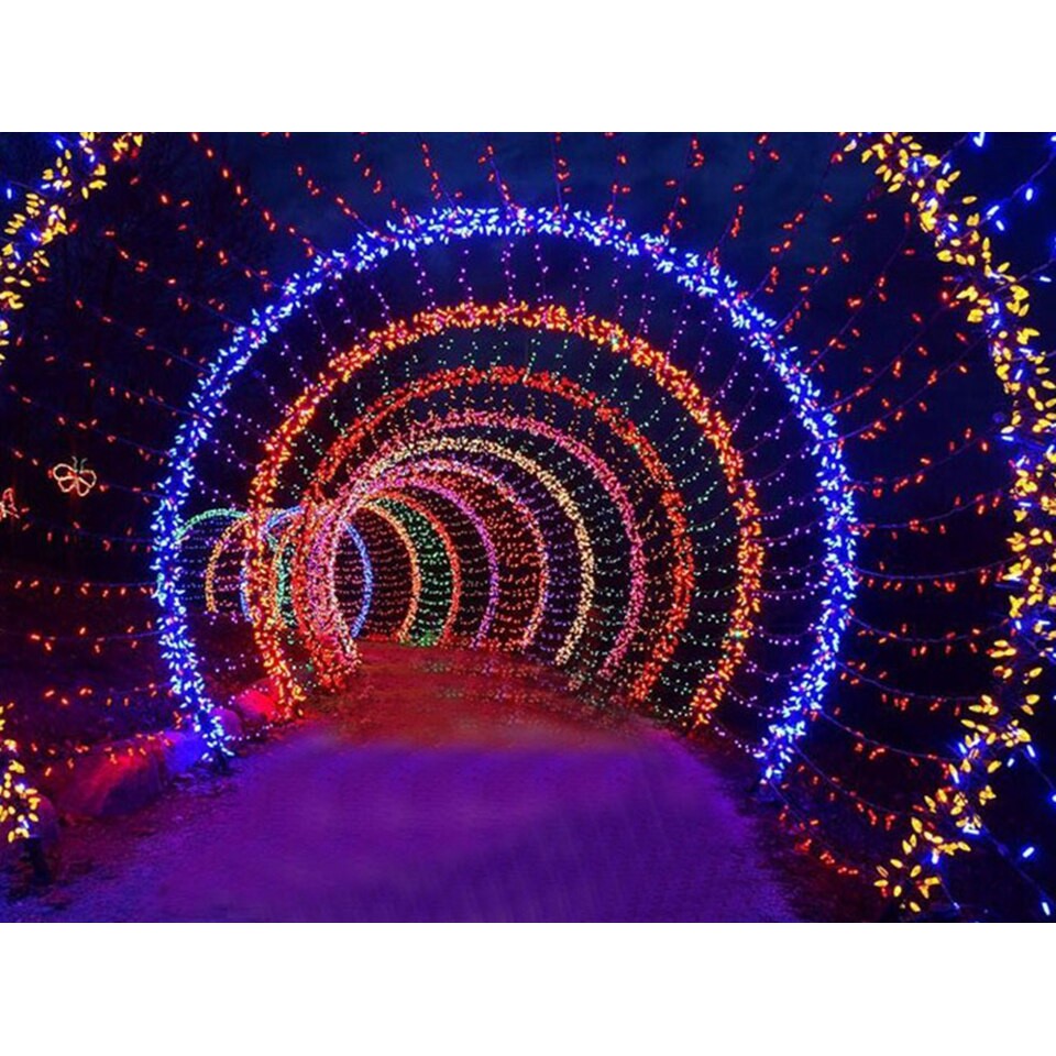 ✨ Dây đèn LED trang trí nháy chớp 50m / 100m, trắng, vàng, nhiều màu lắp cây, nhà, sân vườn✨