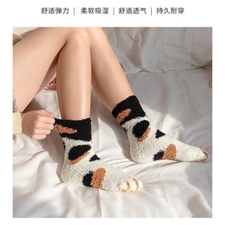 Tất mèo cao cổ xinh ấm áp ( Sét 5 đôi siêu tiết kiệm )