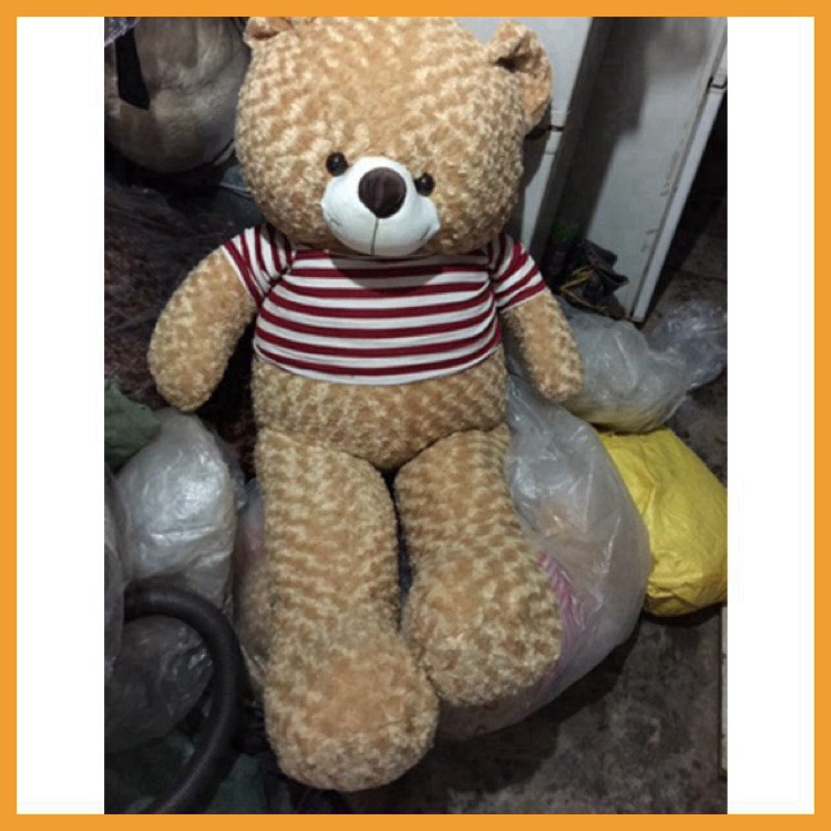 Thú Nhồi Bông  Gấu Bông To Teddy Lông Xù Cao Cấp, Vải Nhung Hàn Quốc Mềm Mịn Kích Thước 95cm  1m1