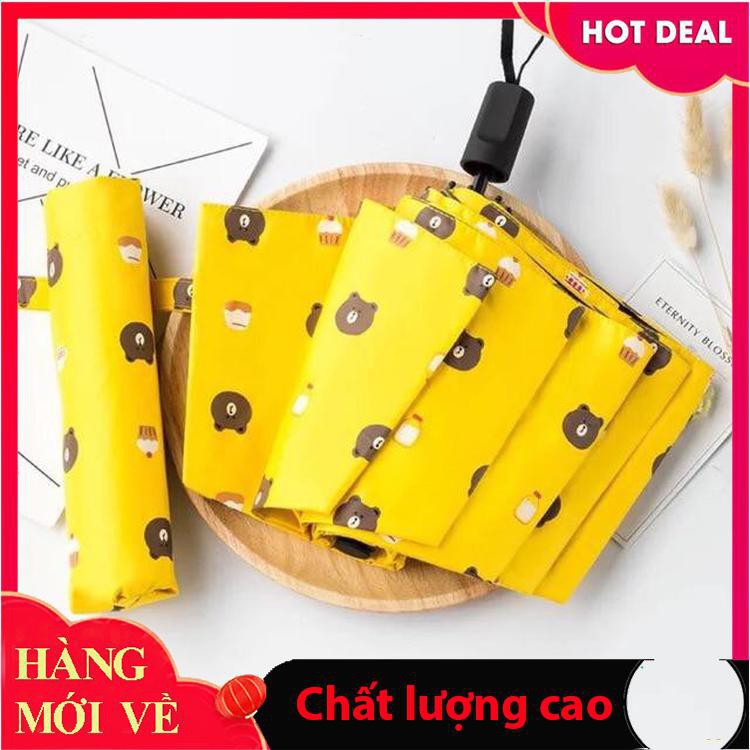 HOT-HOT-HOT- DÙ ĐI MƯA HÌNH GẤU CỰC DỄ THƯƠNG