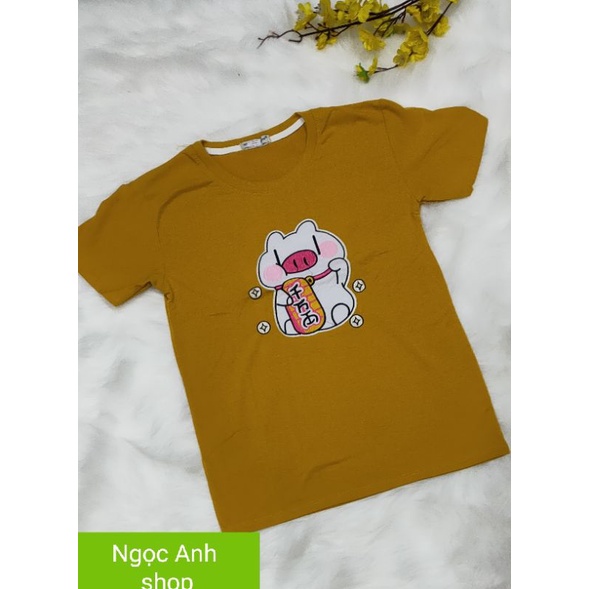 Áo phông nam / nữ