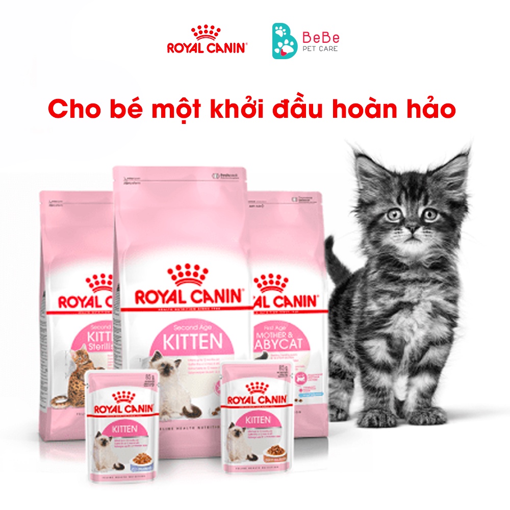 [10Kg] Hạt ROYAL CANIN Kitten Dành Cho Mèo Con